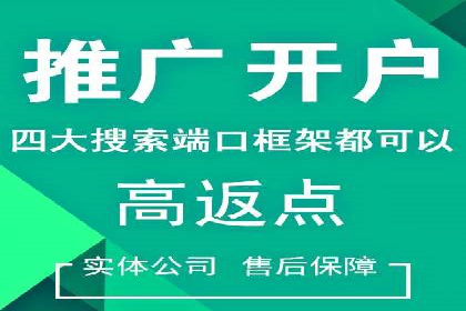百度竞价公司案例分析：优化策略全解析